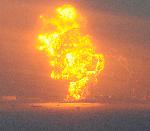 東日本大震災に負けるな