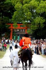 葵祭の前儀　賀茂競馬会 : 競馬に勝利し、禄絹と菖蒲を賜り、馬場元に戻る左方の乗尻