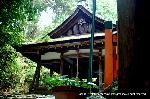 御霊さんで一初を　大田ノ沢で杜若 : 拝殿　双葉葵が上賀茂神社の摂社を教える