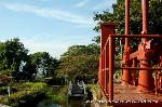 最後の紅葉あれこれ
