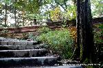  南禅寺の奥山　神明山の紅葉 : 鐘楼への石段
