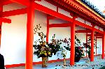 秋季一般公開　京都御所の秋　その1 : 門跡三寺院華道三流派の献花