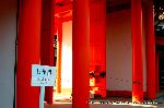 秋季一般公開　京都御所の秋　その1 : 日華門