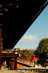 京都御所秋季一般公開   : 先に見えるのは「日華門」と「左近の桜」