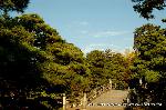 秋季一般公開　京都御所の秋　その2 : 欅橋