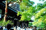 京都御所秋季一般公開   : 戸板絵・襖絵が公開されている