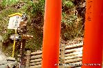 狛龍の伏見神宝神社 : 朱の鳥居からわき道へ