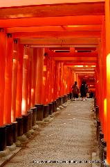 狛龍の伏見神宝神社 : 千本鳥居を歩く