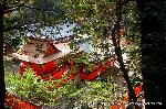 元日詣 : 伏見神宝神社への参道より奥社を見下ろせる