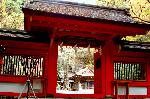 瀧尾神社と本圀寺の龍 : 北山貴船奧院御社