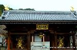 瀧尾神社と本圀寺の龍 : 仁王門