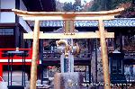 瀧尾神社と本圀寺の龍 : 九頭龍銭洗弁財天 