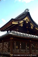 瀧尾神社と本圀寺の龍