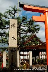 瀧尾神社と本圀寺の龍 : 伏見街道沿いの鳥居と石碑