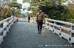 平清盛　縁の地をゆくその七　厳島神社 : 高倉橋