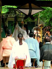 京の紫陽花めぐり　藤森神社 : 紫陽花祭の神事と献花・献茶・神楽奉納
