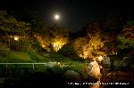 満月に隠れ茶室を見た : 中秋の名月・観月茶会の庭
