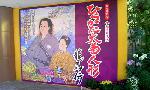 京の菊　嵯峨菊