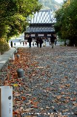 京都の秋