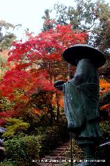 京都の秋 : 弘法大師像