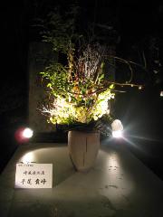 冬の蛍　嵐山花灯路 