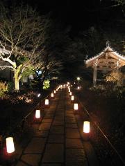 冬の蛍　嵐山花灯路 