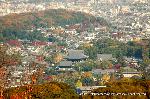 洛外紅葉街道　ドライブ計画 : 京都市内が全域紅葉見頃になってきました。
展望台からの景色を独り占めしてください。
最高の紅葉をまじかで見られ、そして市街遠望!