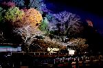花灯路 : 嵐山は昼の紅葉とは別の顔を見せる。
露地行灯に沿って散策する嵐山、嵯峨一帯をお楽しみください。
また、花灯路の散策の途中の寺院では夜の特別拝観も行われています。