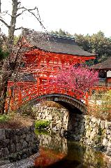 観梅　京の梅かほる : 輪橋(そりばし)の西詰に光琳梅