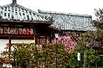 観梅　京の梅かほる : 「娶妻結地蔵菩薩」の漢字に「つまとり」とルビのある提灯が