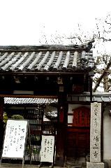 洛中洛外京桜図　一見さんの桜に通の桜　編　その四 : 通称/妻取地蔵で知られる浄土宗の寺院