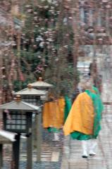 おかめ桜に千本釈迦念仏