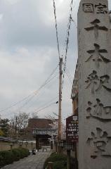 おかめ桜に千本釈迦念仏