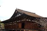 千本釈迦念仏 花見　彼岸会 : 国宝千本釈迦堂は京都最古の建築物。