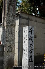 梅と松の北野さんと御霊信仰 : 千代の古道