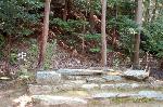 桜見に曲水宴 : 時雨亭跡の礎石