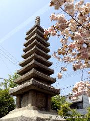 八重桜の園　千本ゑんま堂 : 紫式部供養の十重石塔