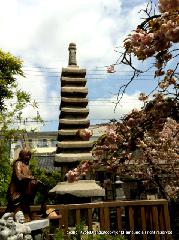 知られざる桜の見所 : 紫式部像と供養塔