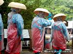 お田植祭・伏見稲荷大社 : 茜タスキに菅傘　通常の野良着ではないハレ着だろう