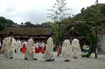 夏越祓　茅の輪くぐり