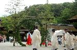 夏越祓　茅の輪くぐり