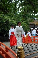 夏越祓　茅の輪くぐり