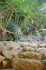 芙蓉の寺に魅せられて