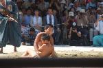 重陽の節句に烏相撲