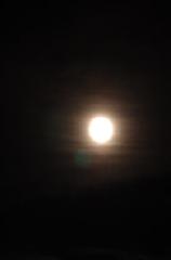 十五夜　お月見 : 満月