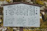 冬野菜の横綱　大根/三千院大根焚き