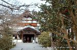 冬野菜の横綱　大根/三千院大根焚き : 拝観入り口となる庫裏