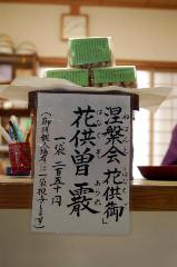 昼の涅槃図　夜のライトアップ