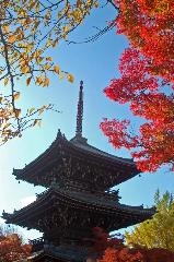 昼の涅槃図　夜のライトアップ