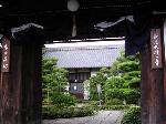 京の沙羅双樹を愛でる : 沙羅双樹の寺